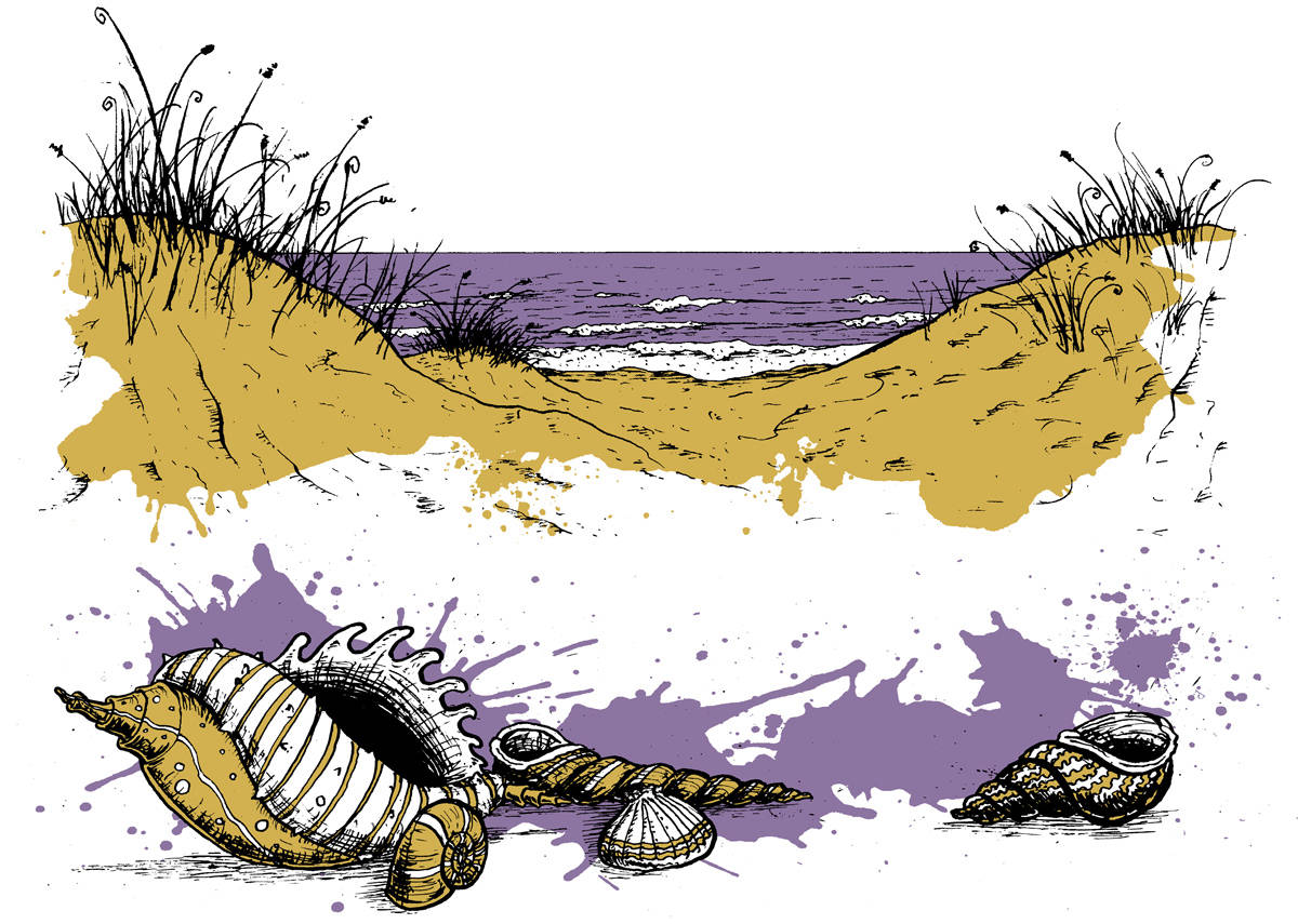 Sand dunes and shells spot illustrations