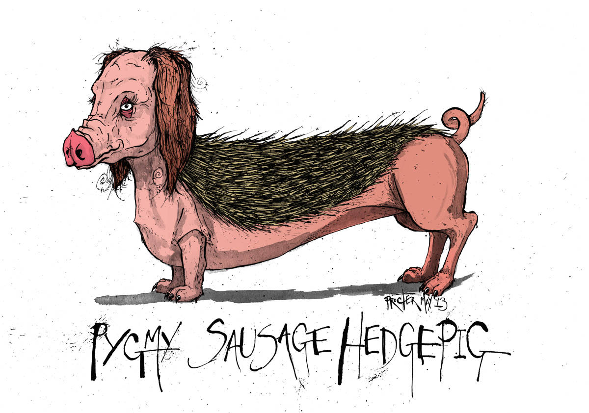 A spliced together animal of a sausage dog, pig and a pygmy hedgehog