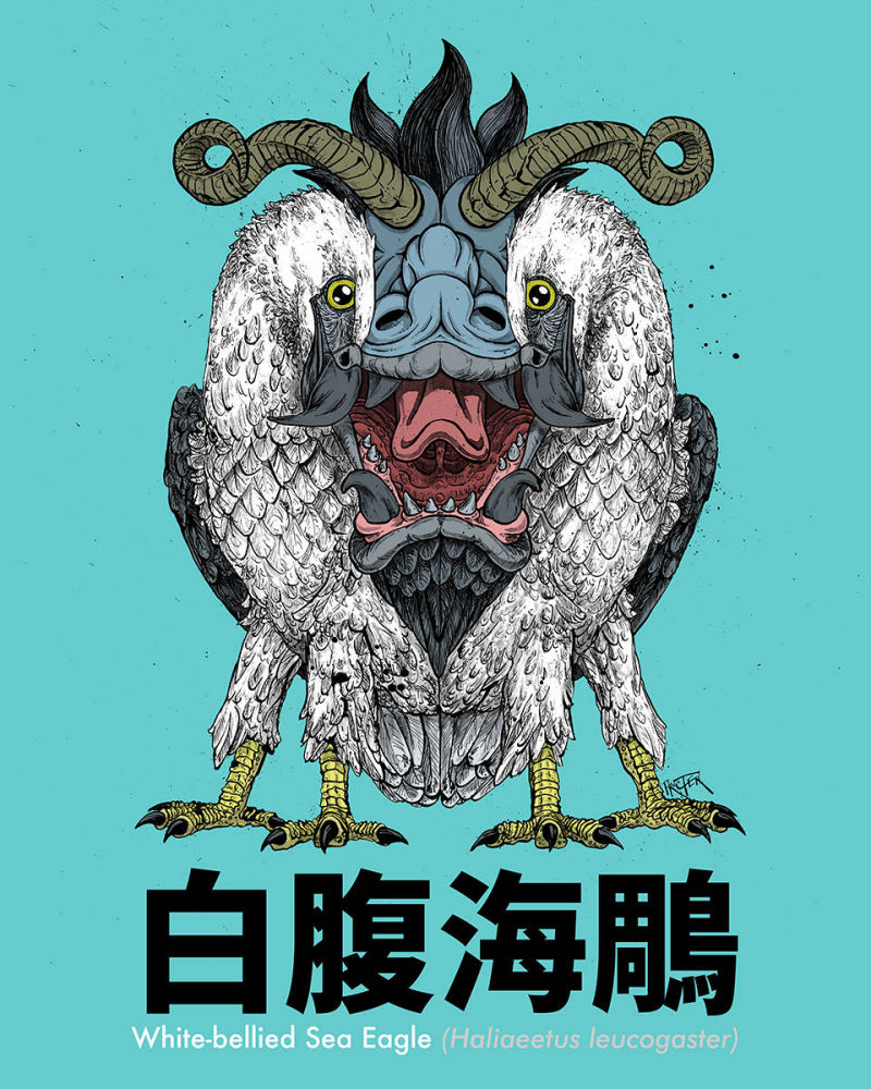White-Bellied Sea Eagle
